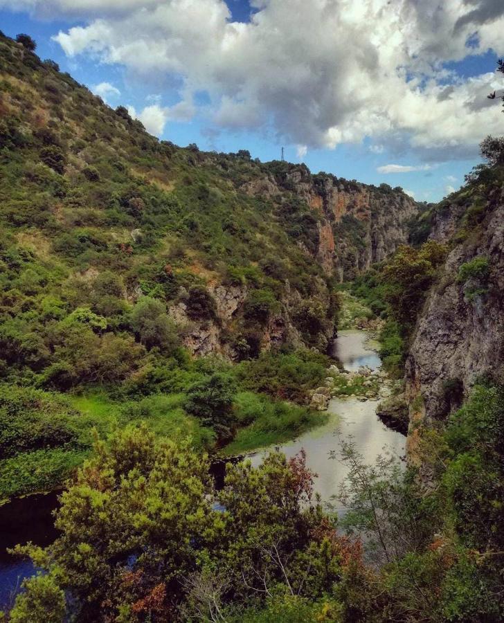 Casa Teresa Daire Castellaneta Dış mekan fotoğraf