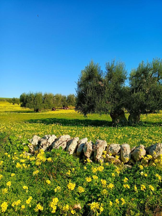 Casa Teresa Daire Castellaneta Dış mekan fotoğraf